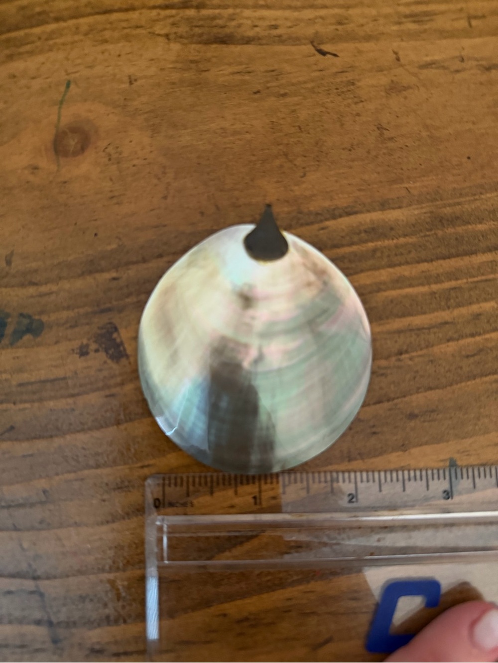Shell pendant - Picture 6 of 6